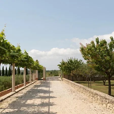 Villa Albina & Domenica Zadar Exterior photo